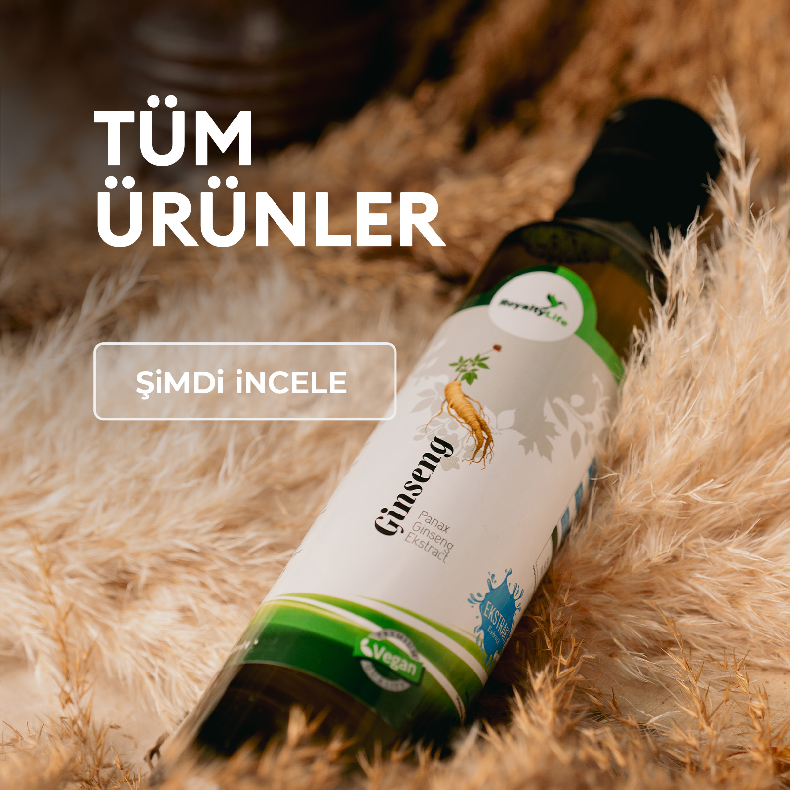 Tüm Ürünler